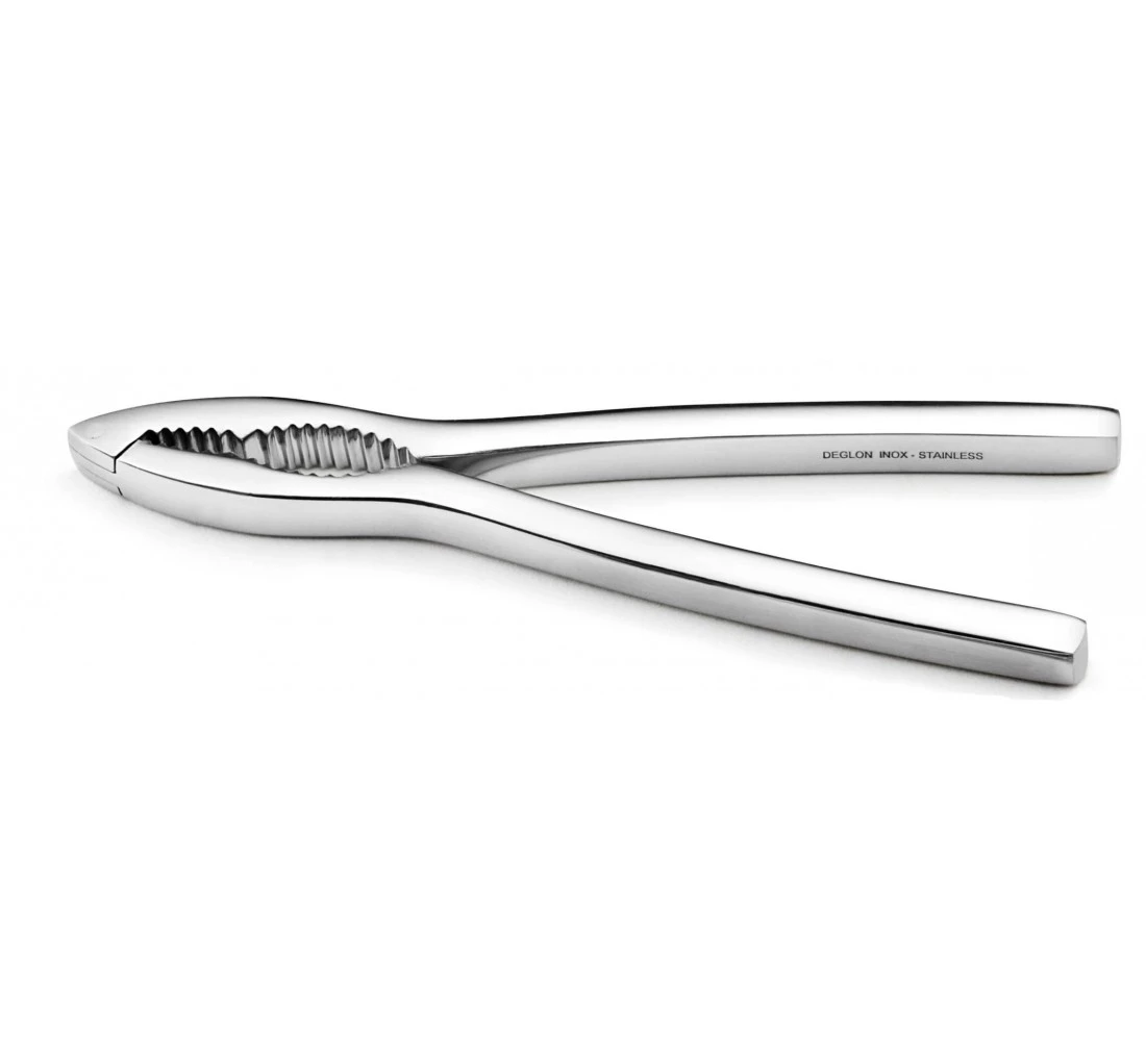 CASSE PATE ET CASSE NOIX INOX