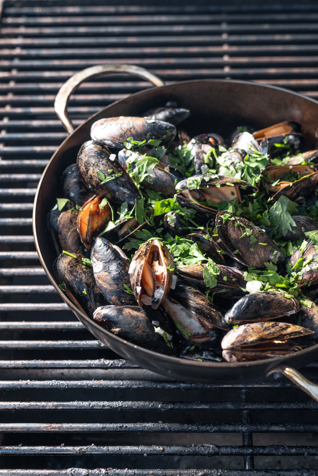 POELE PAYSANNE MINERAL B 2 ANSES 